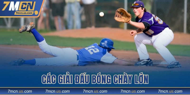 Các giải đấu bóng chày lớn