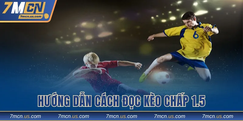 Hướng dẫn thành viên cách đọc kèo chấp 1.5