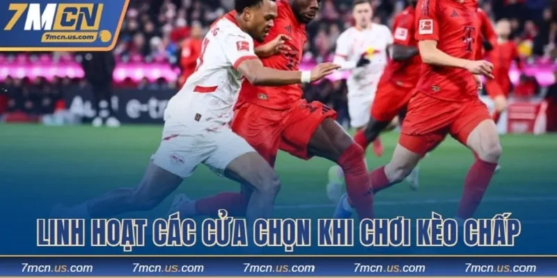 Linh hoạt lựa chọn với từng cửa của tỷ lệ handicap