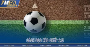 Cách đọc kèo chấp 2.5