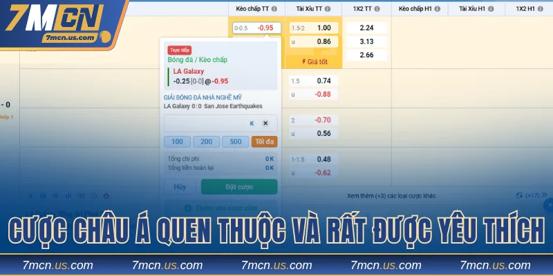 Cược châu Á quen thuộc và rất được yêu thích