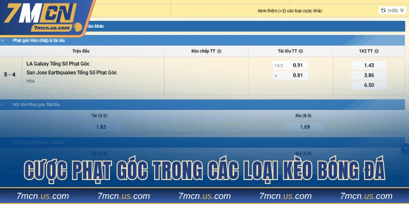Cược phạt góc thú vị trong các loại kèo bóng đá