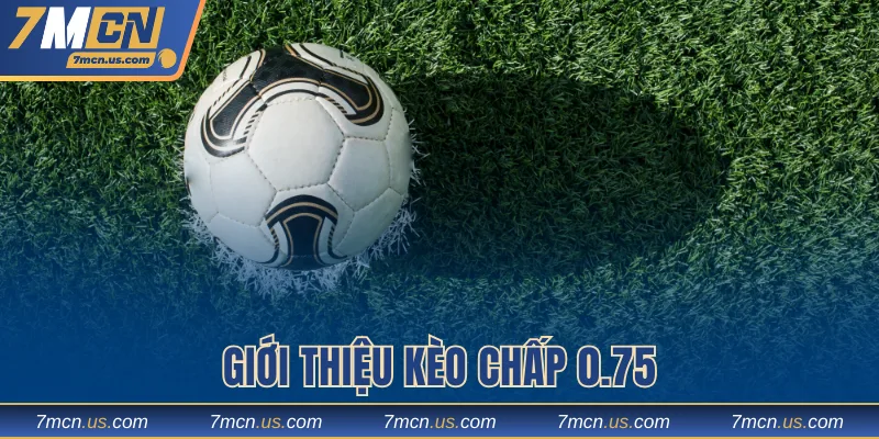 Giới thiệu kèo chấp 0.75