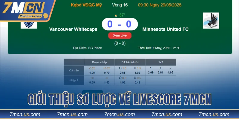 Giới thiệu sơ lược về Livescore 7MCN
