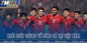 Khái quát chung về bóng đá tại Việt Nam