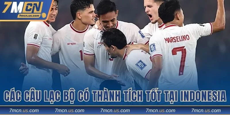 Một số câu lạc bộ có thành tích tốt tại Indonesia
