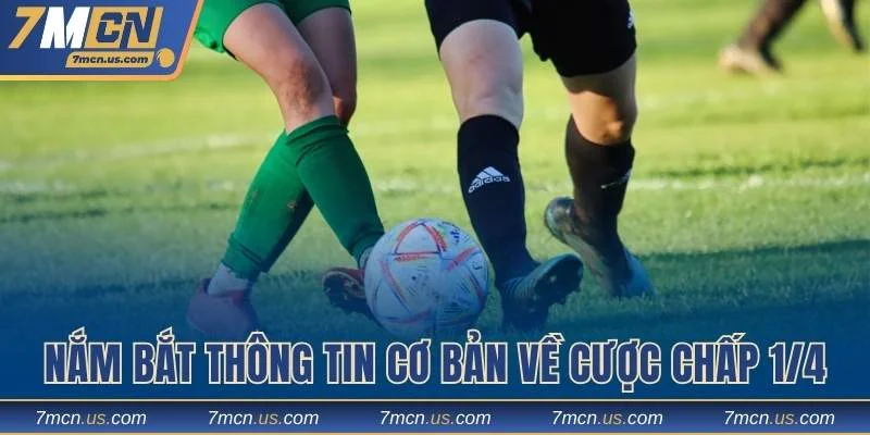 Nắm bắt những thông tin cơ bản về cược chấp 1/4