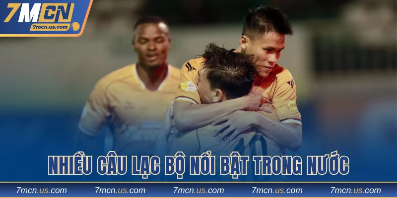 Nhiều câu lạc bộ nổi bật trong nước