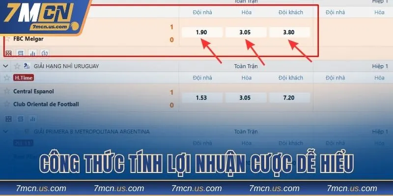 Tính lợi nhuận kèo châu Âu dễ hiểu