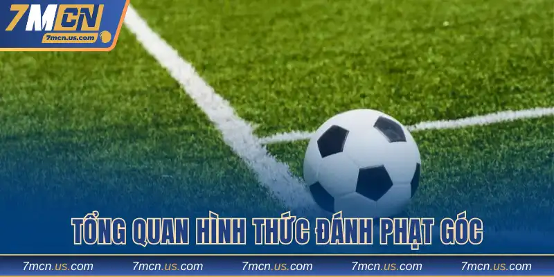 Tổng quan hình thức đánh phạt góc