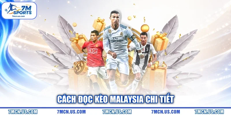 Cách đọc kèo Malaysia chi tiết