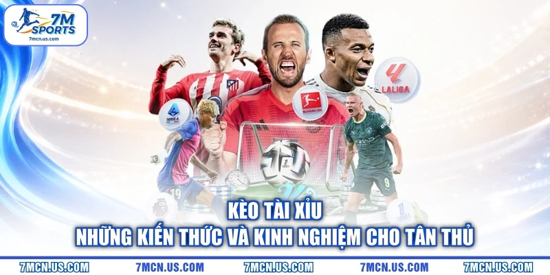 Kèo Tài Xỉu - Những Kiến Thức Và Kinh Nghiệm Cho Tân Thủ