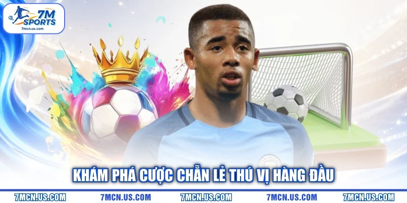 Khám phá cược chẵn lẻ thú vị hàng đầu