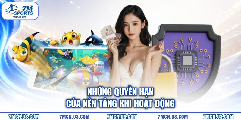 Những quyền hạn của nền tảng khi hoạt động